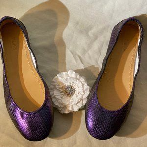 Tieks | Flats | Arabian Nights Replica | 12 | New
